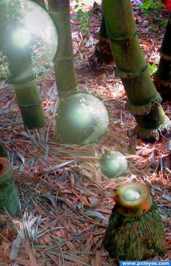 Bamboo Blowing Bright Bubbles